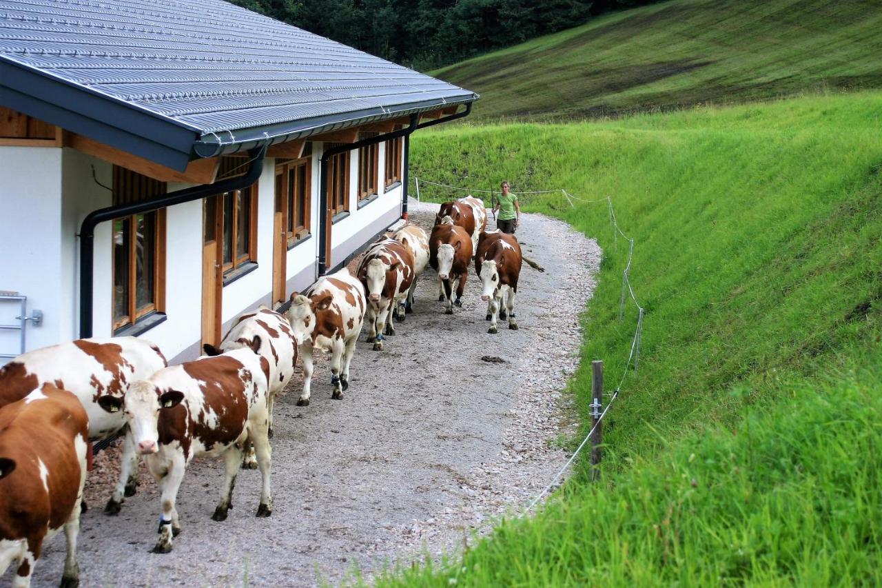 Schartlhof Flachau Exterior foto