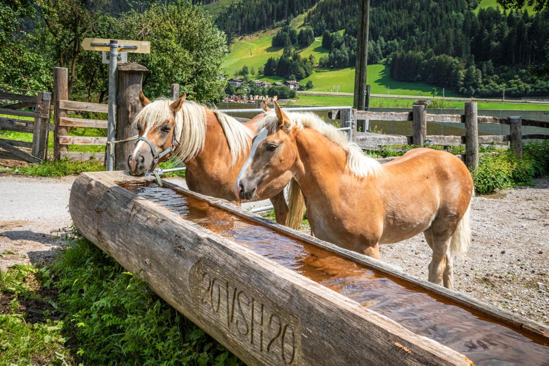 Schartlhof Flachau Exterior foto
